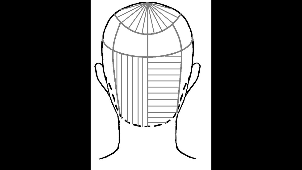 Cómo seccionar el pelo adecuadamente YouTube