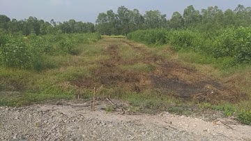 Đất vườn ấp 1A xã Hựu thạnh 6.3 x 84 tổng diện tích 505m2 giá bán 480 triệu