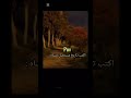 اكتب تاريخ مستحيل تنساه تاريخ قصة لايك اشتراك شير  لابوبو ترندات 