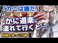 「日本は食べ物天国だ」 カニ嫌いだった外国人をかに道楽に連れて行った結果・・・!
