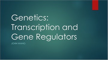 Transcription: Process and Network Regulation | John W