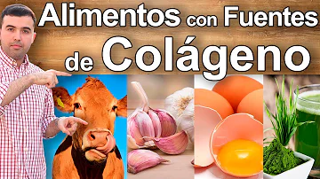 ¿Cuál es la fuente más saludable de colágeno?