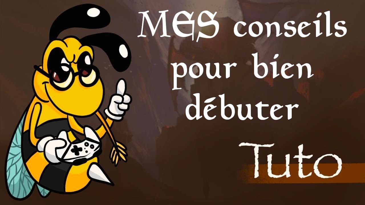 MES conseils pour bien débuter - Le Guide du Frelon