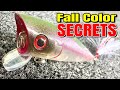 What's the BEST Fall Bait Color for Catching MORE Bass