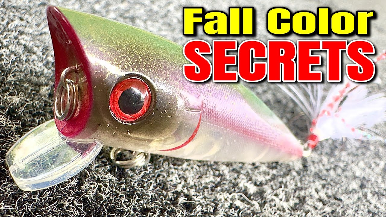 Какой цвет осенней наживки ЛУЧШЕ всего подходит для поимки БОЛЬШЕГО количества окуня?