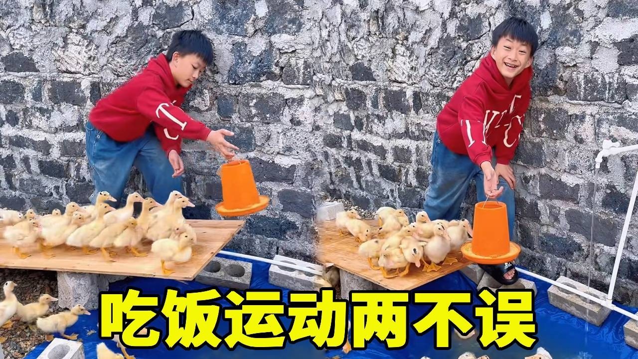 为了鸭子吃饭运动两不误，给鸭子搭一个跳水台，这也太好玩了吧！！