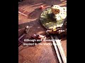 Gaslands - first impressions
