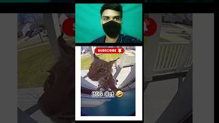 Funny Big cat #entertainment #comedyshorts #trendingindia #memecontent #youtubetrending #viralvideo