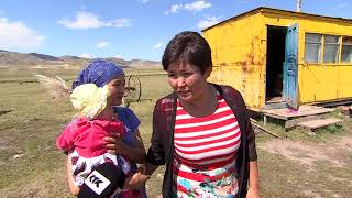 видео: Дау-дамайсыз: Мал бақтырып, баланың көз жасына қалған кім? картинка: Дау-дамайсыз: Мал бақтырып, баланың көз жасына қалған кім?