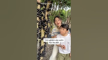 Trải nghiệm vào vườn hái nho đất #shorts