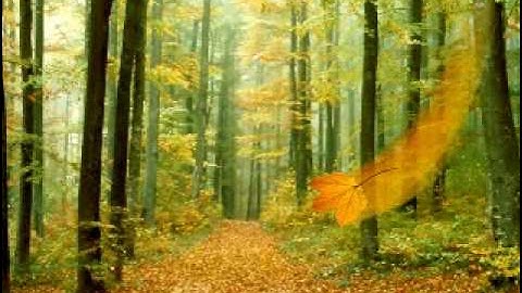 Channeling higher energies & automatic writing