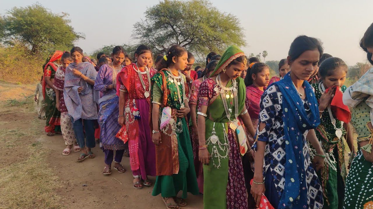 Aadivasi new teamli song video//chichba lagan 2026//timli dance video samlvant//samlvant lagan 2026