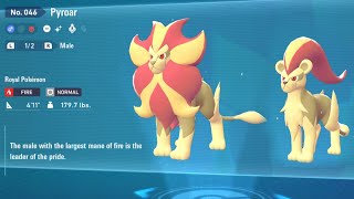 Pokémon Legends ZA Shiny Pyroar(Male/Female)