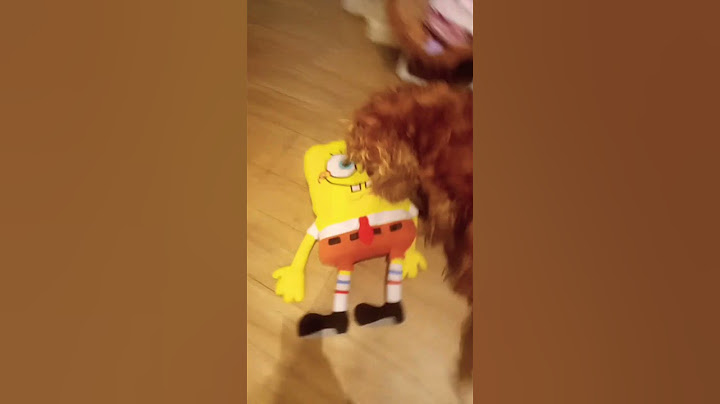 che fine fa il peluche di mia sorella