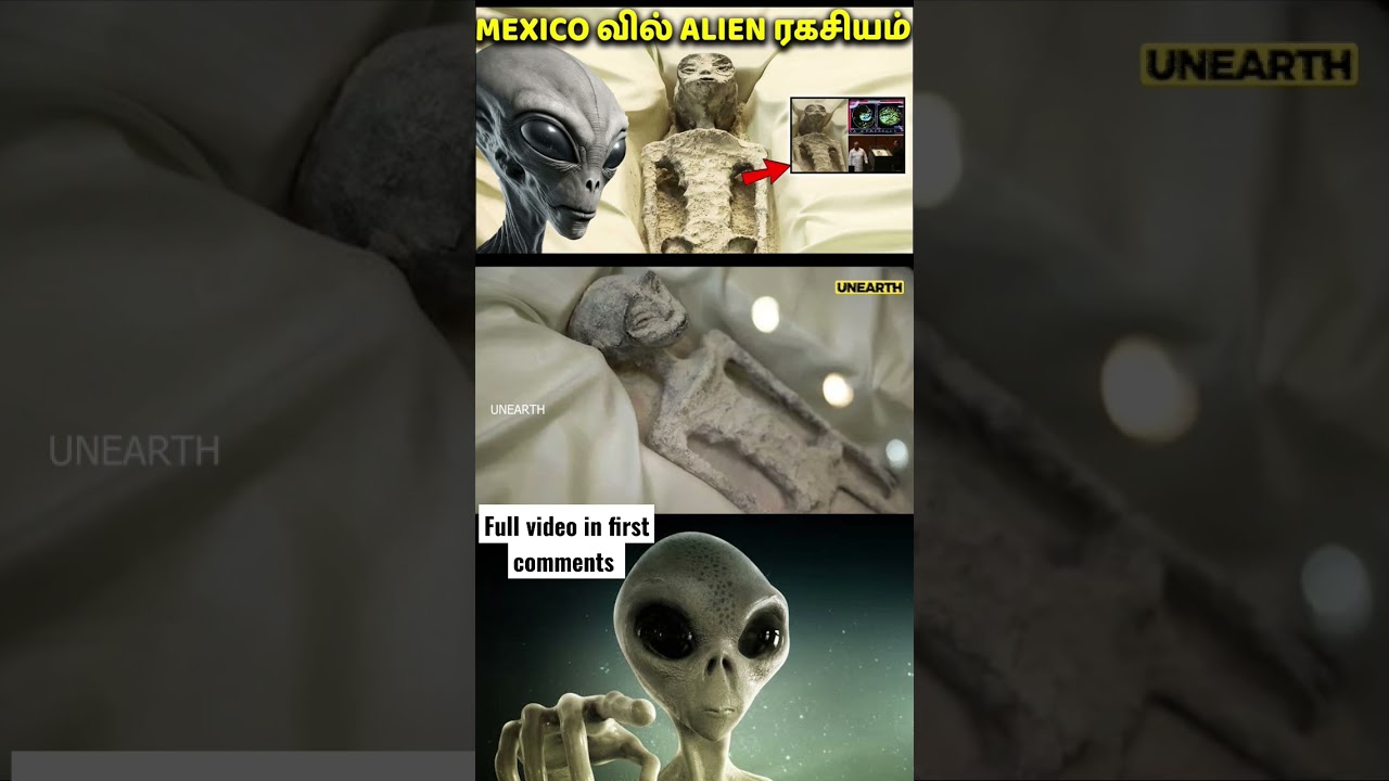 Mexico Alien Tamil Explain 