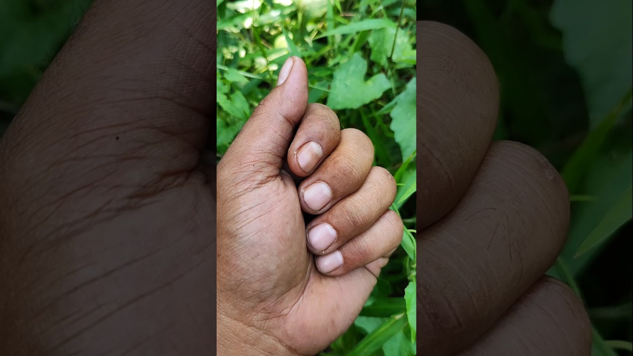 I found him again, and he gave me a gift😂 