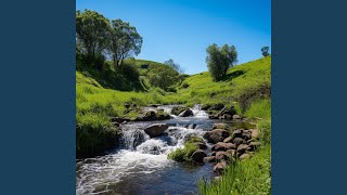 Streamside Harmony