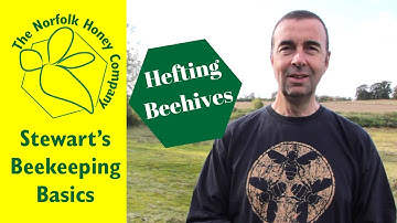 Beekeeping Basics - How to Heft a Beehive - The Norfolk Honey Co.