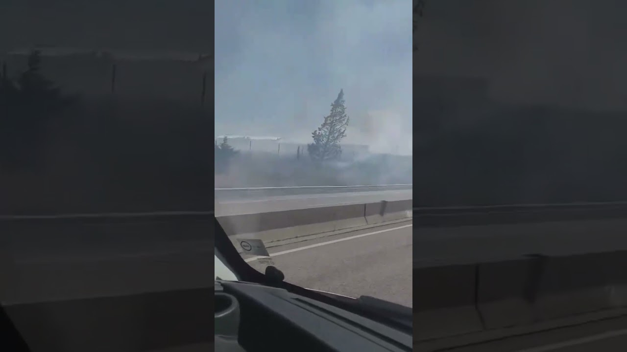 Fogo em zona de mato junto ao Tagus Park em Oeiras dominado - 16 Agosto 2024