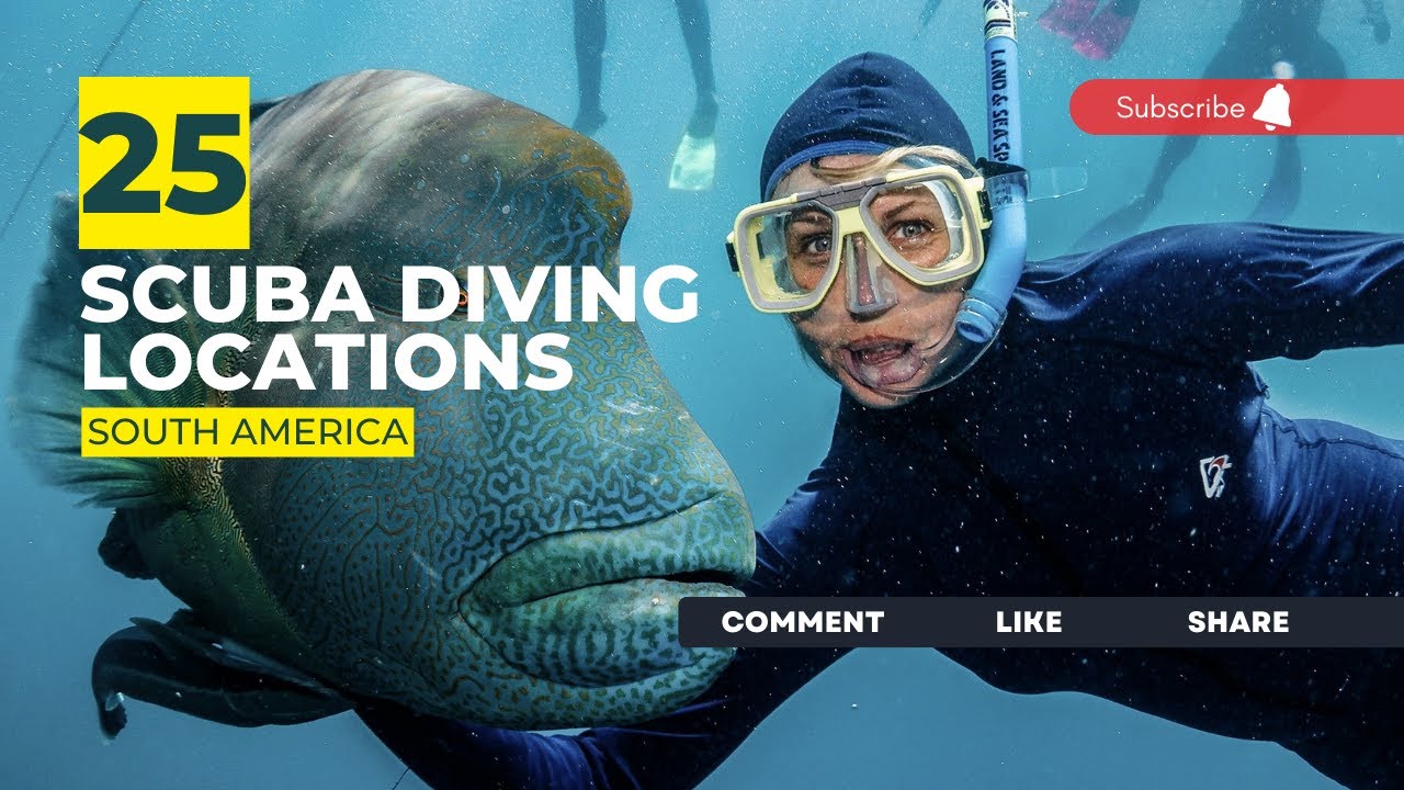 [2023] South America Dive Sites That Will Blow Your Mind: Our Top 25 Scuba Diving Locations