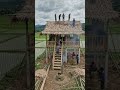 “Real happiness is this 🌾”#youtubeshorts #vairal #treding