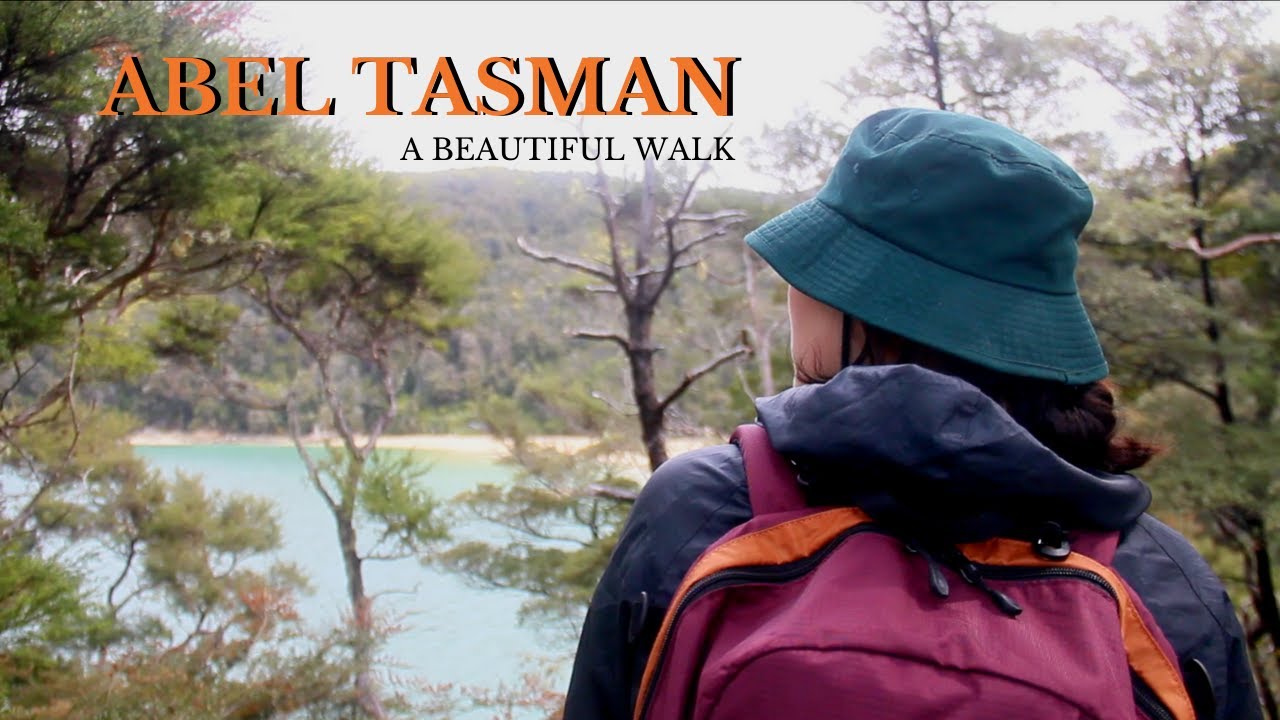 ABEL TASMAN NATIONAL PARK: A trip around split apple rock and Abel Tasman national park | Anne Nysom