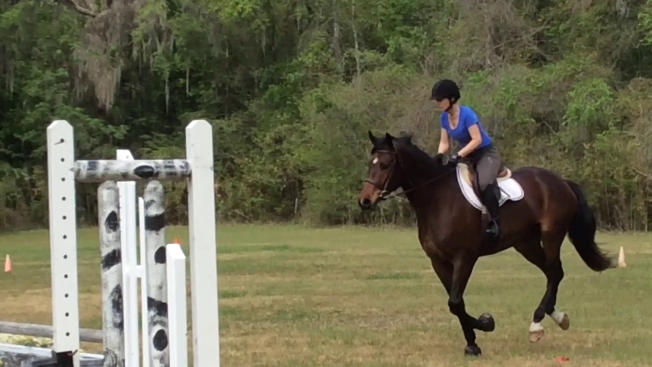 Bruno, canter line, 3/25/17