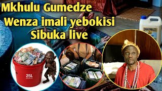 MKHULU GUMEDZE_UVEZA AMANHLA AKE ENZA IMALI BUKHOMA💰📦 