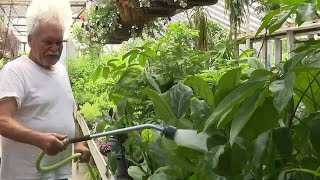 Mid-Michigan drought brings gardening challenges