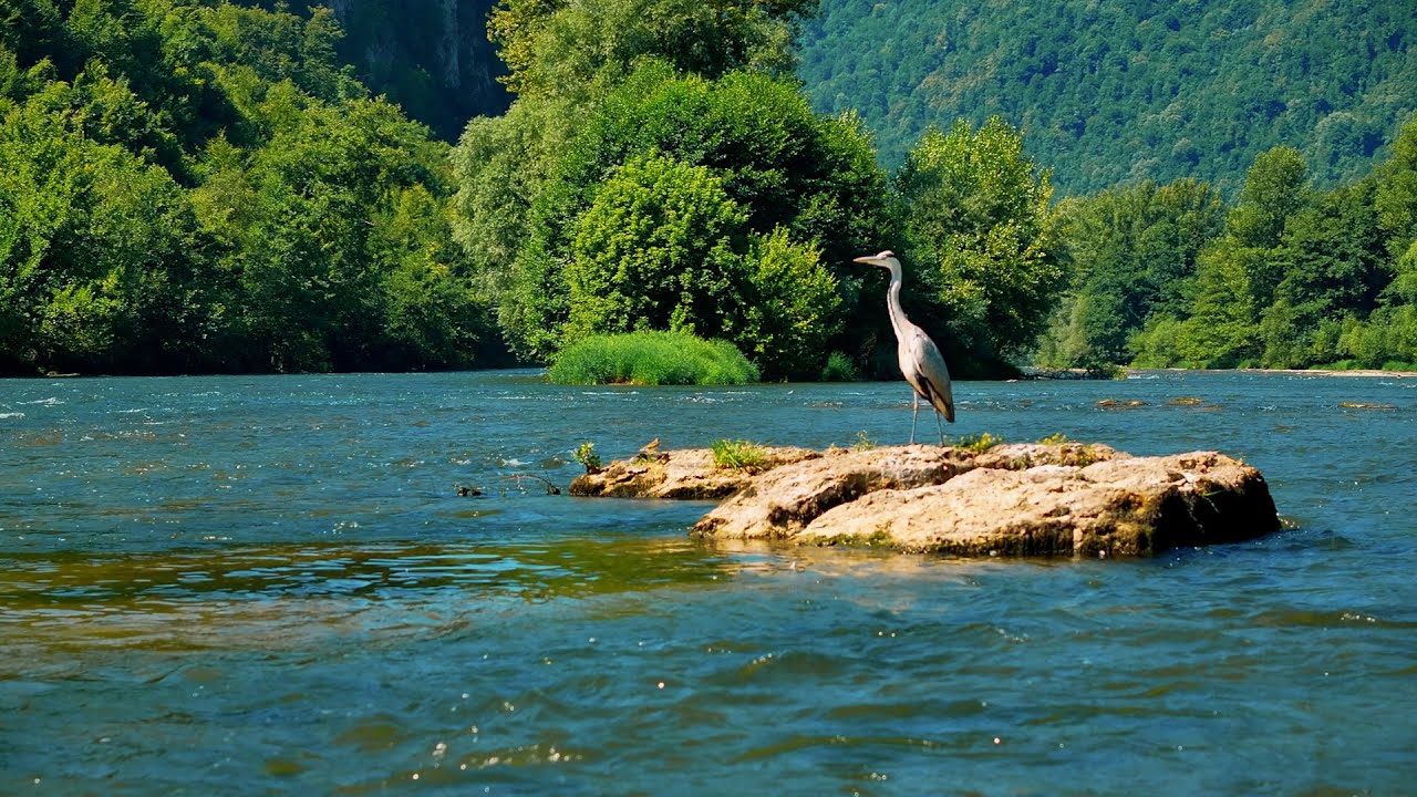 Janjčki slapovi na rijeci Bosni - Dron.ba za N1