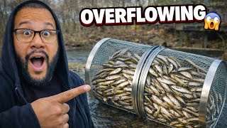 “This Minnow Trap Was OVERFLOWING…”