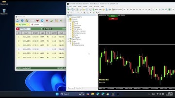 How to Setup MambaBot AutoTrader For Binary Options From MT4