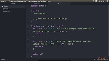 Begin Soln in Go–The Basics, Clients & Servers:The database/sql Package with MySQL| packtpub.com