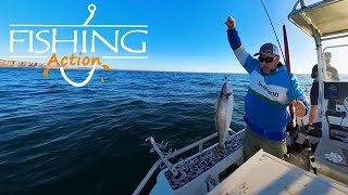 Snapper -Teraglin - flathead - Morwong  | Sydney Reef Fishing | Long Reef Sydney | Fishing Action
