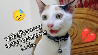 স্বামী স্ত্রীর ঝগড়া || তাও আবার বিড়ালদের (Kit & Kitty)