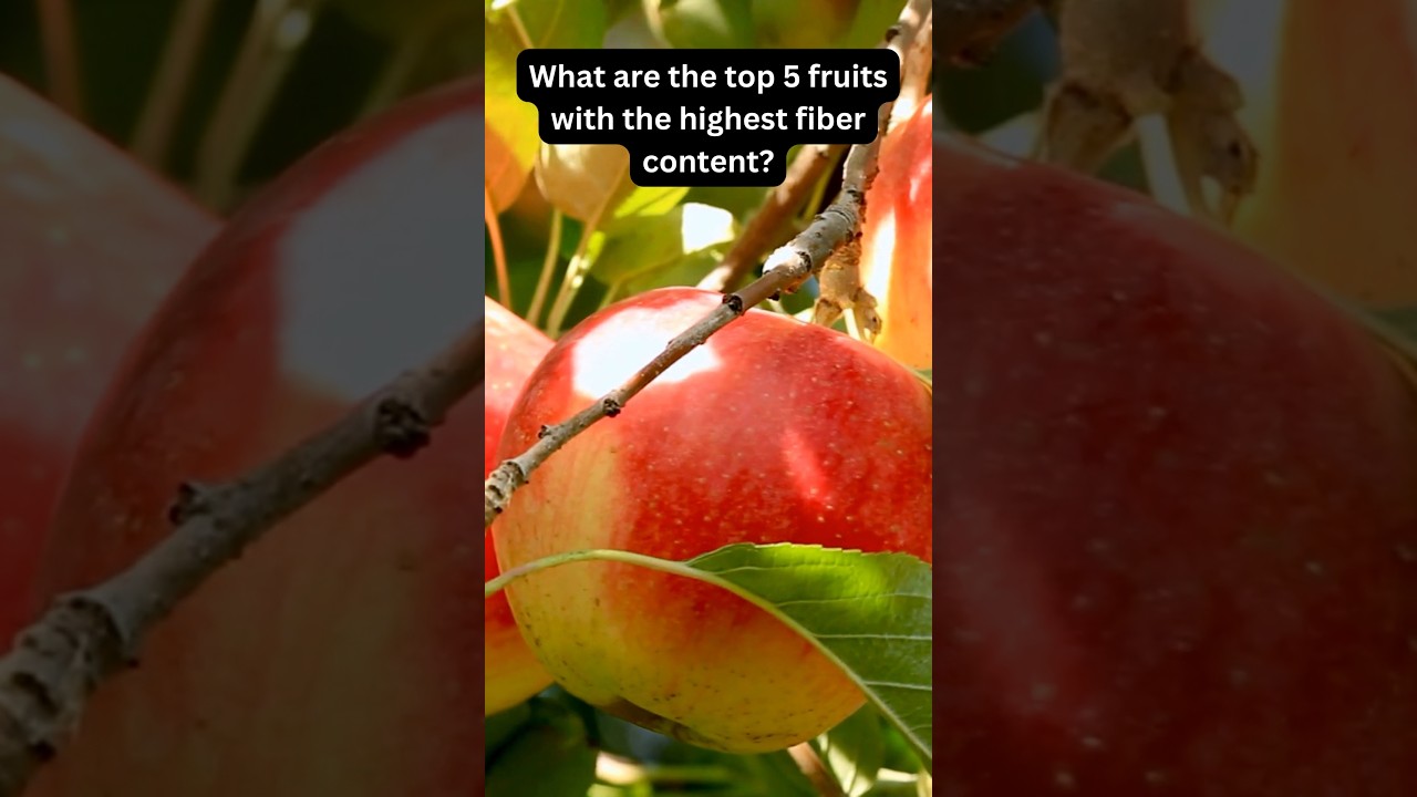 Fruits With Highest Fiber Content 🍊 Fact it ytshorts youtube 