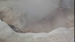 mud pot at yellowstone
