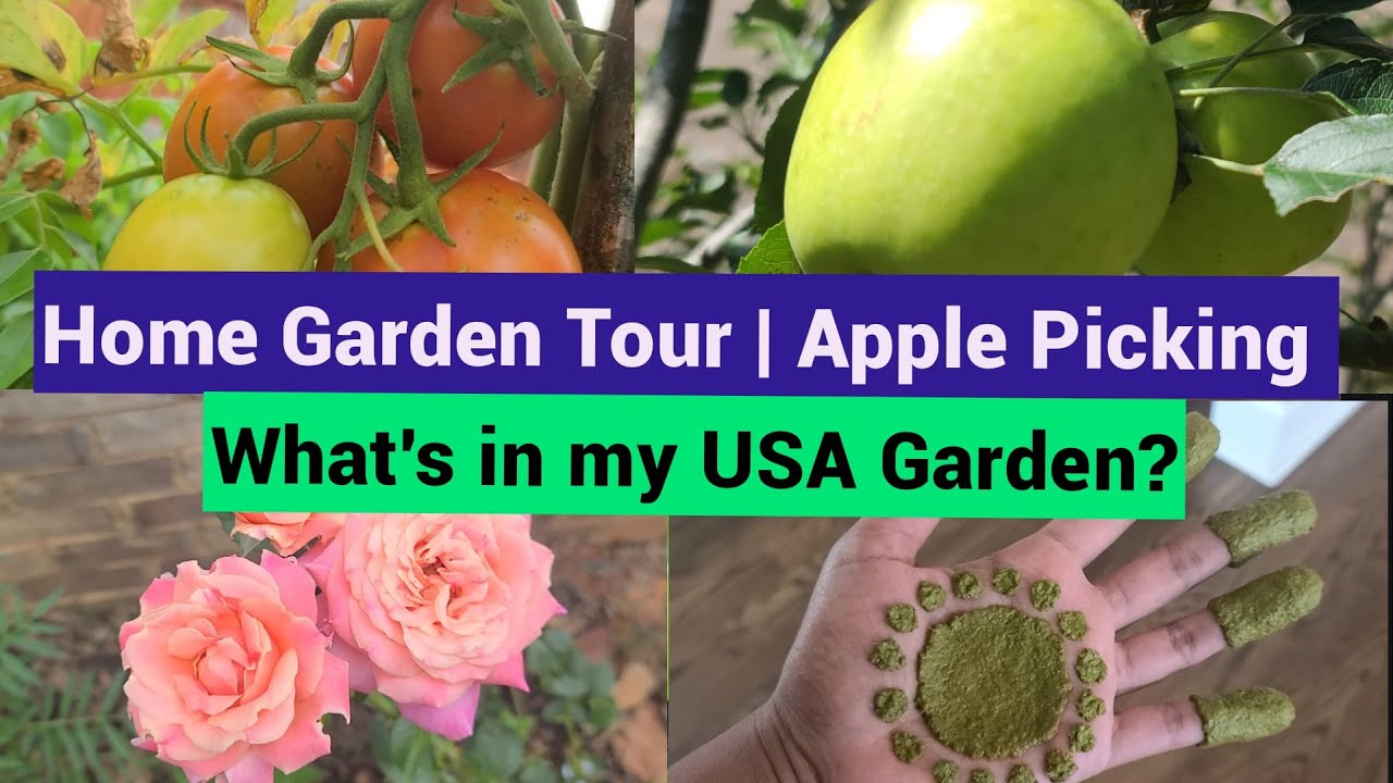 USA Home Garden in Tamil My Home Garden tour in Tamil Garden Tour
