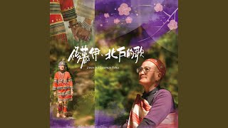 瑪奧（馬告） ma’aw/ makaw