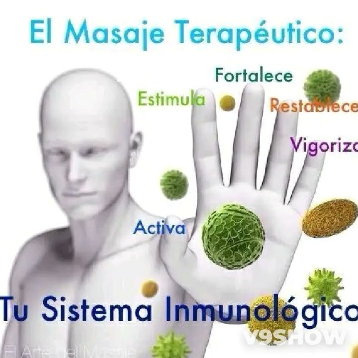VIVE SANA - SIN STRESS & DOLORES. AMA TU CUERPO Y MENTE TODO ESTÁ EN TI ...