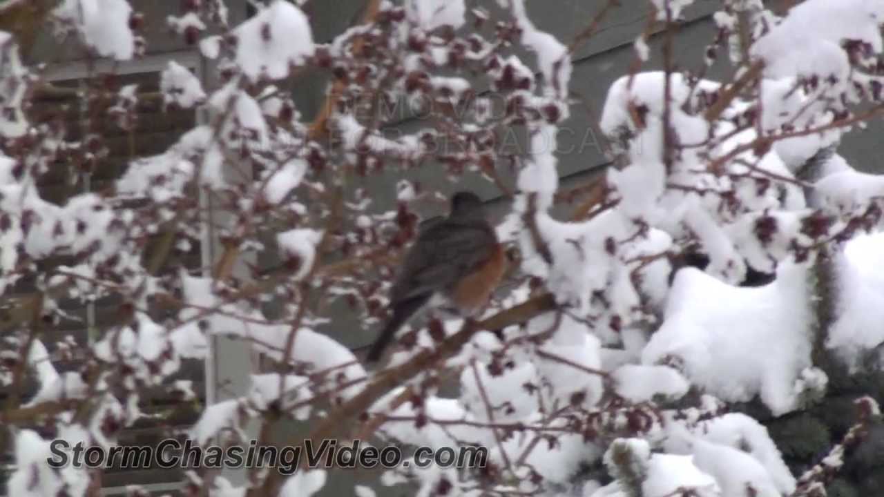 05/01/2013 Thornton, Colorado Snowstorm
