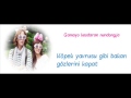 Andrew Nelson- Hey girl [Turkish and Romanization]