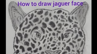 jaguar drawing face