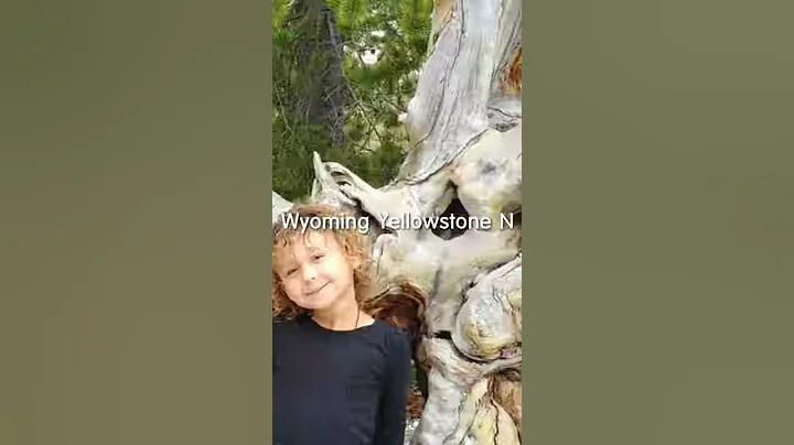 2018 Kercher Yellowstone trip