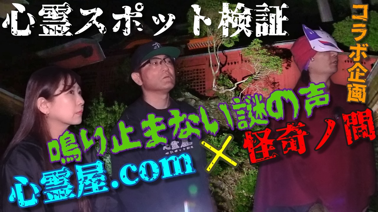 注意⚠️感受性の強い方や恐怖表現の苦手な方のご視聴はご注意ください【心霊スポット検証】心霊屋.com×怪奇ノ間コラボ企画！夜中に行くと100%霊障が起こる隠れた激ヤバ心霊スポット『滝畑の某神社』大阪