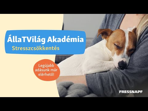 Videó: Kutyája van azzal, amit terápiás kutyának kell lenni?