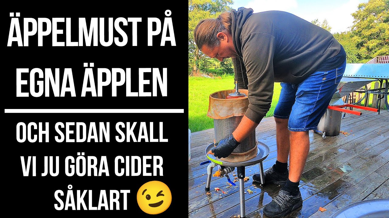 Mustning av äpplen till äppelcider
