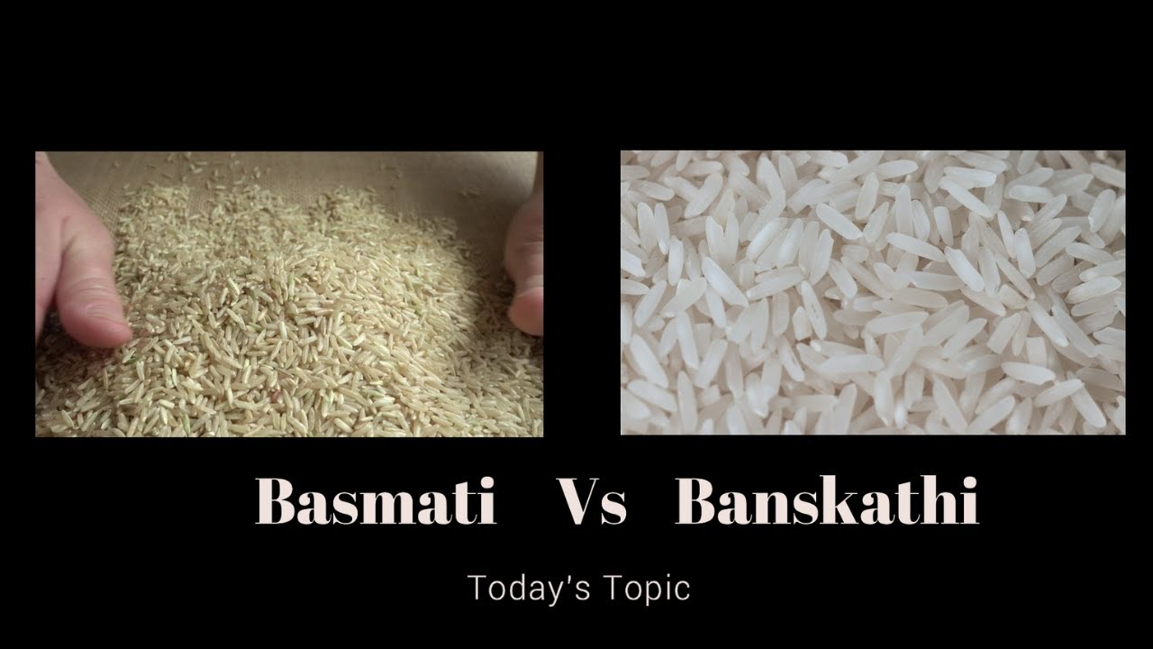 Banskathi Rice Vs Basmati Rice | Banskati rice, Basmati Rice Facts ...