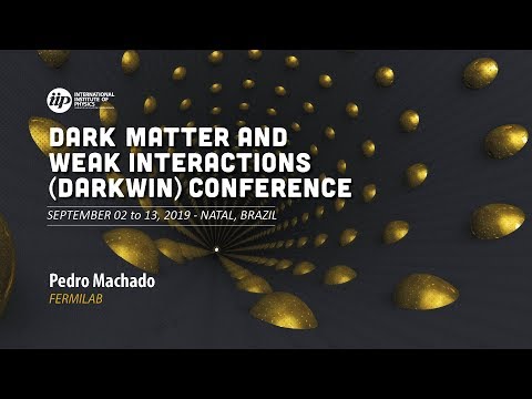 Pedro Machado - Dark Neutrino Portal to Explain Miniboone Excess