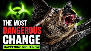 The Most Dangerous Change Happening Right Now | Nature Animal Documentary